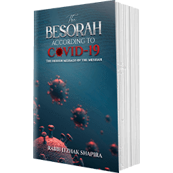 The Besorah according to Covid-19 book cover