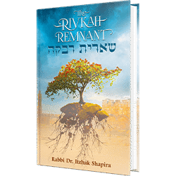 The Rivkah Remnant book cover